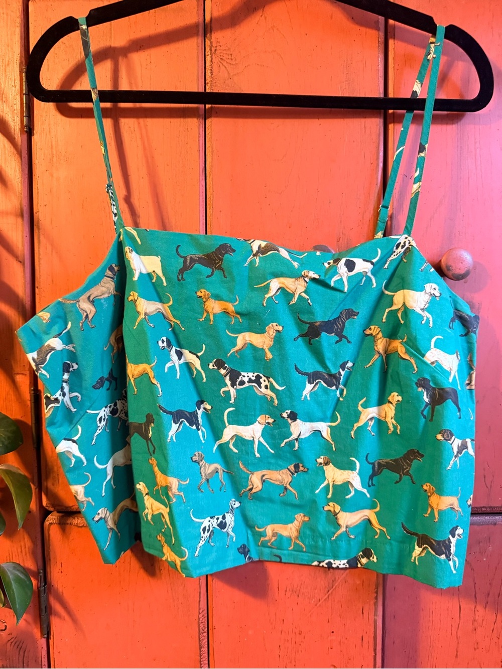 Anthropologie Teal Dog Print Cropped Top